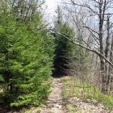 Art Loeb Trail