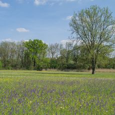Donaualtwasser Schnödhof