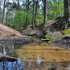 Hildener Stadtwald, Bereich Sandbach–Krebsbach