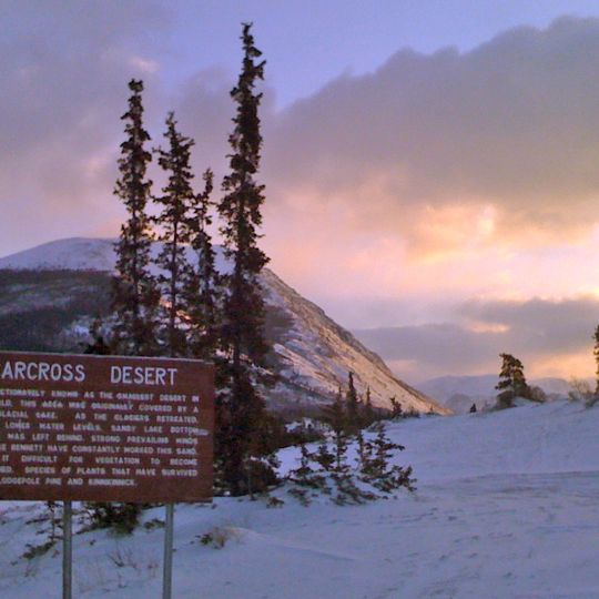 Carcross Desert
