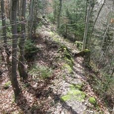 Wildeneck castle ruins