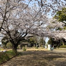 酒々井総合公園