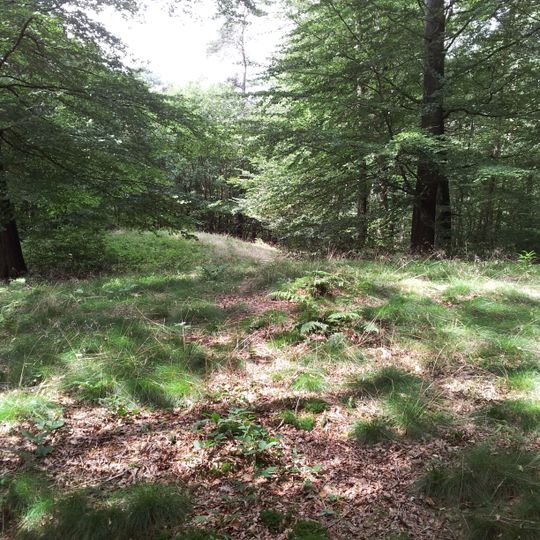 Terrein waarin twee grafheuvels