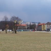 Sokolov