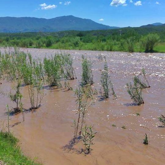Sonora River