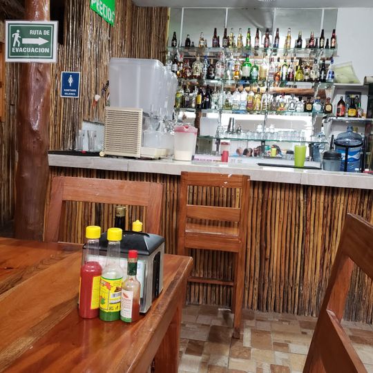 El Camello Jr