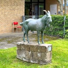 Ziegenbock