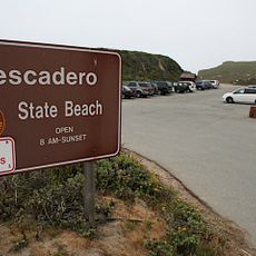 Pescadero State Beach