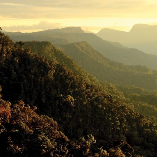 Nationalpark Cordillera Azul