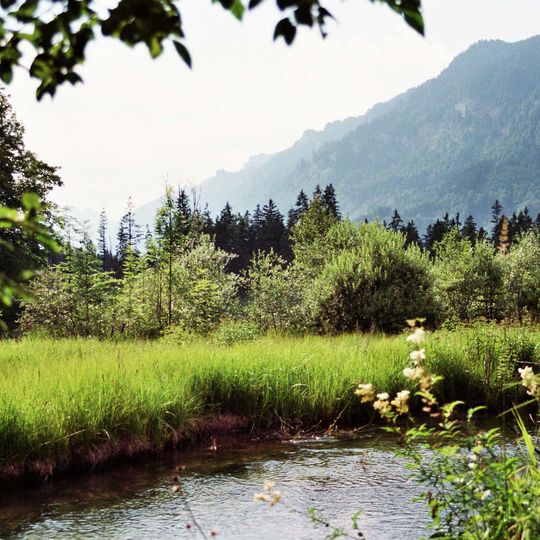 Moore im oberen Ammertal