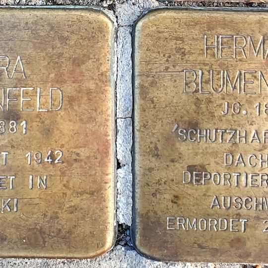 Stolperstein dedicated to Hermann S.v.Aron Blumenfeld