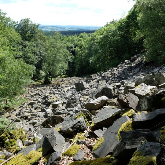 Hunsrück-Hochwald National Park
