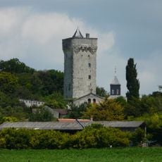 Donjon de Curçay-sur-Dive