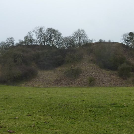 Ruine Landauhof
