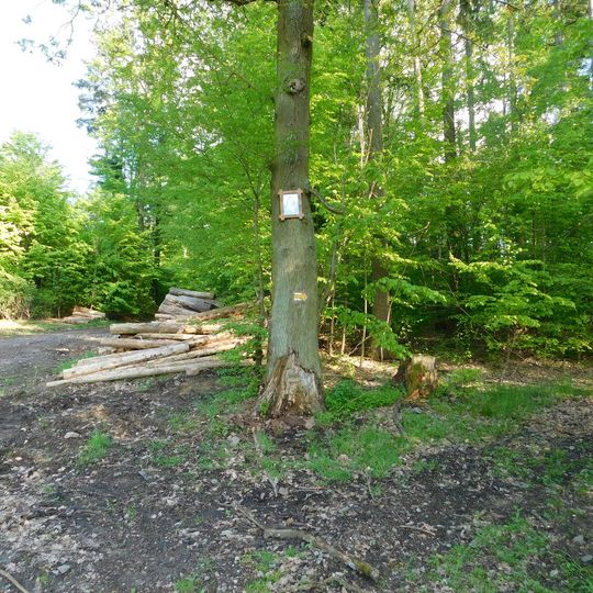 Obrázek u cesty východně od myslivny Vestec