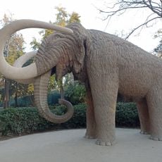 Mamut