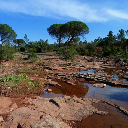 Réserve naturelle nationale de la plaine des Maures