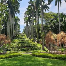 Ang Mo Kio Town Garden West
