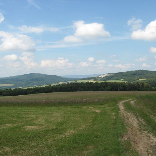 Soonwald