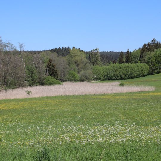 Tal der Weißen Laaber bei Deining