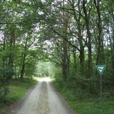 Heide und Moor bei Haslah