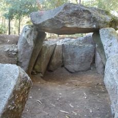 Anta da Portelagem e Mamoas do Rápido