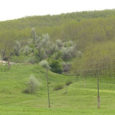 Geological section in the valley of Ialpug