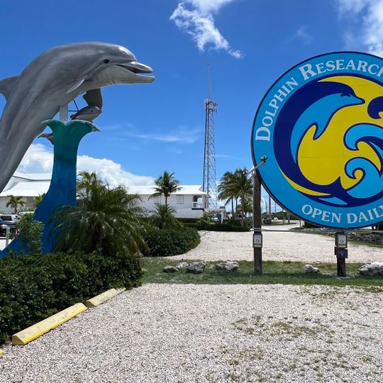 Centro di ricerca Dolphin