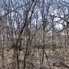 Mrs. C. Morse Ely House