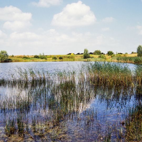 Amphibienbiotop Brockzetel/Wiesens