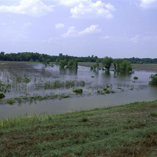 Panther Swamp National Wildlife Refuge