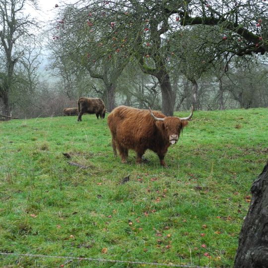 Alte Kartause bei Gensungen