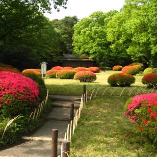 Meiji Shrine Inner Garden