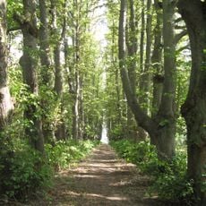 Park Dranske-Lancken