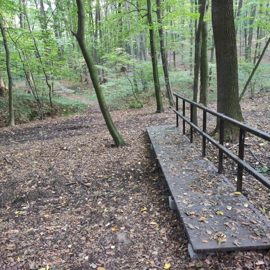 Nature Reserve Hněvošický háj