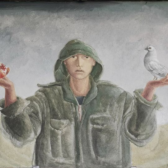 Il soldato che non vuole la guerra