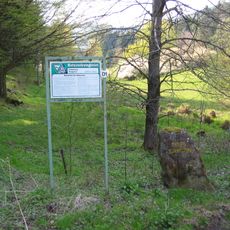 Ritterstein 46 "Tiergarten"