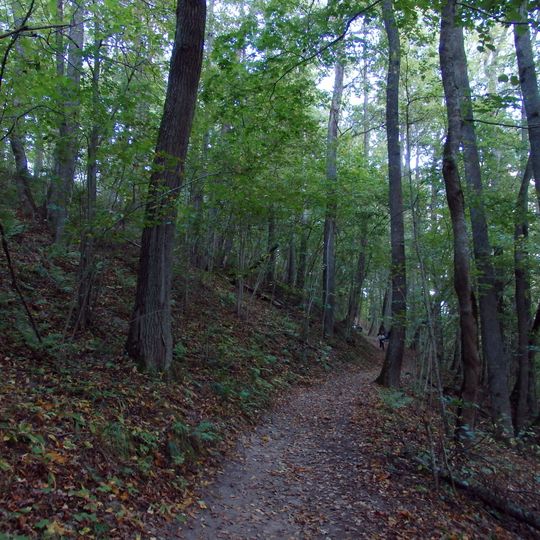 Rata kakts - pilskalns