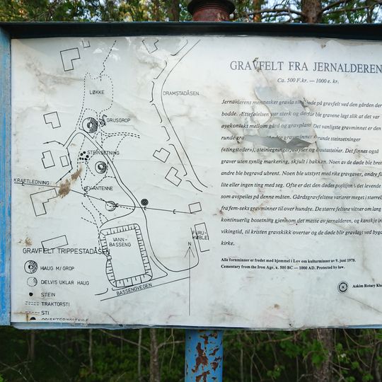 Gravfelt fra Jernaldeeren