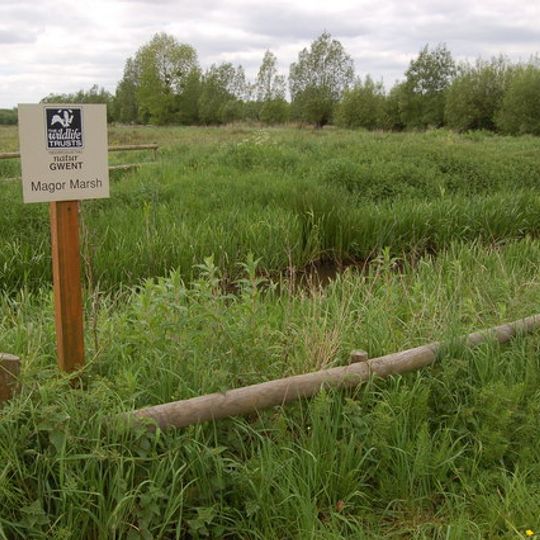 Magor Marsh