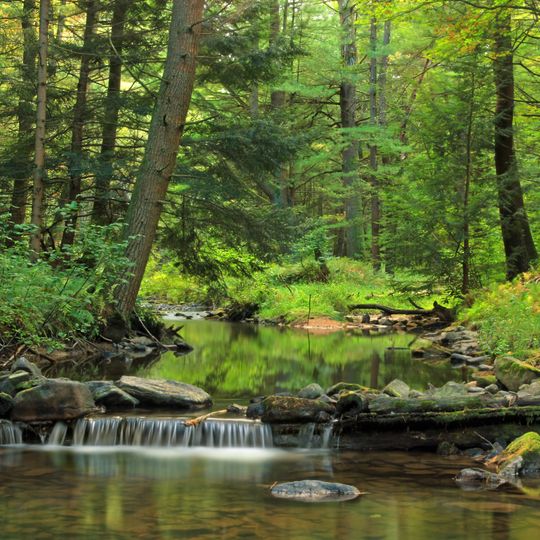 McCalls Dam State Park