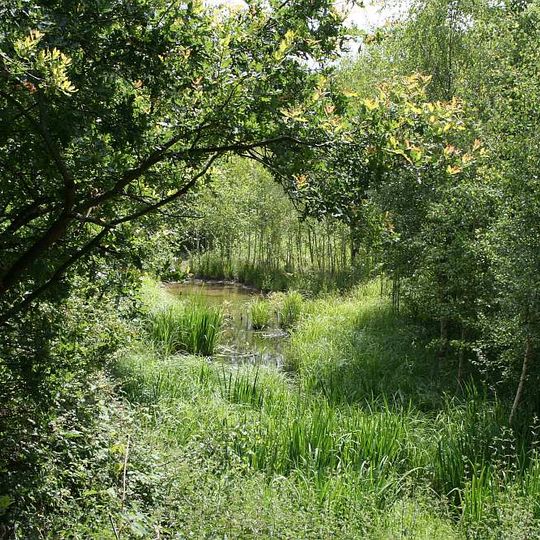 Naturschutzgebiet Wüster Forst bei Rüsselsheim