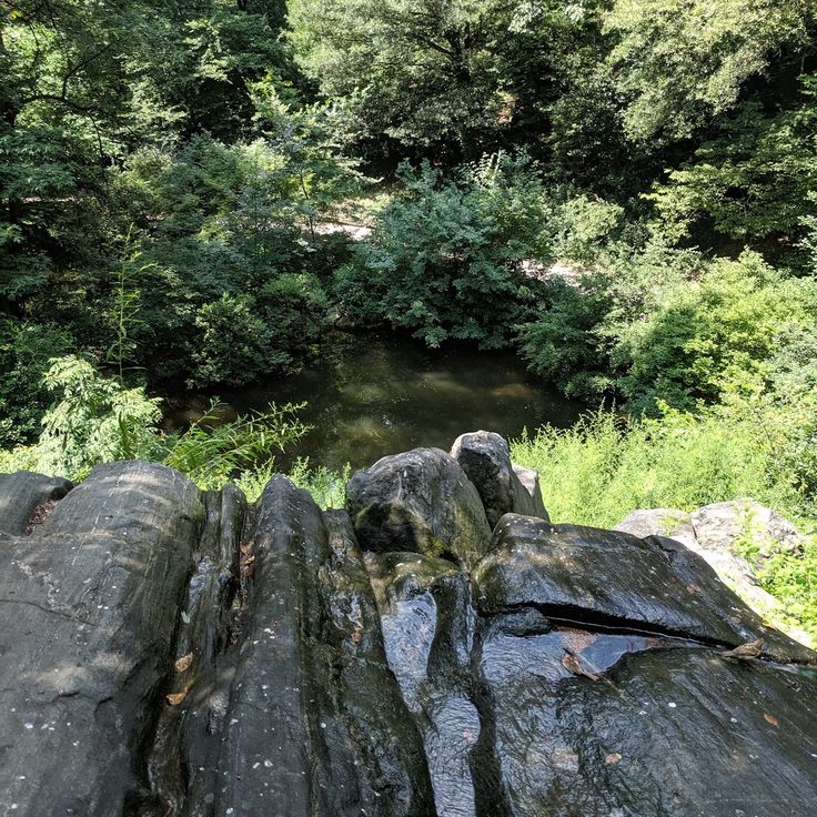Hallett Nature Sanctuary