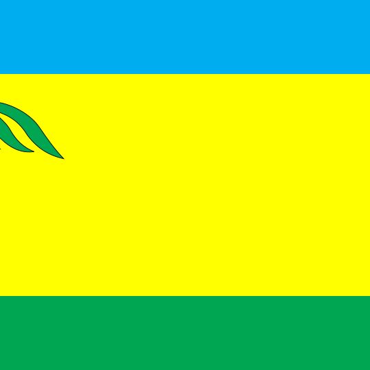 Distretto di Rokytne