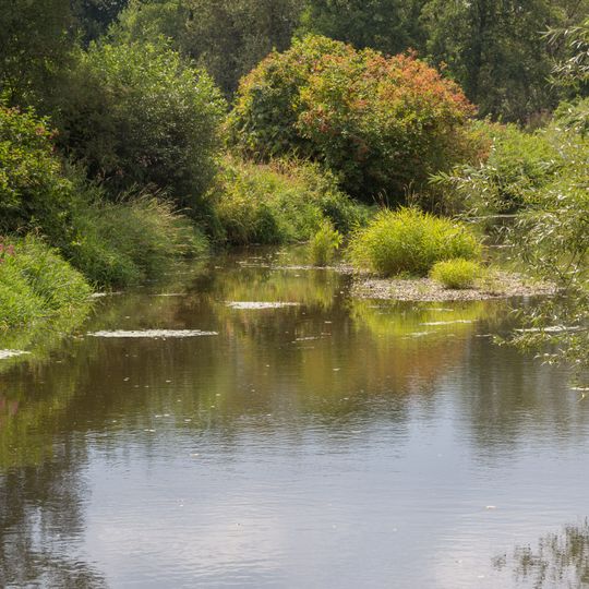 Naab unterhalb Schwarzenfeld und Donau von Poikam bis Regensburg