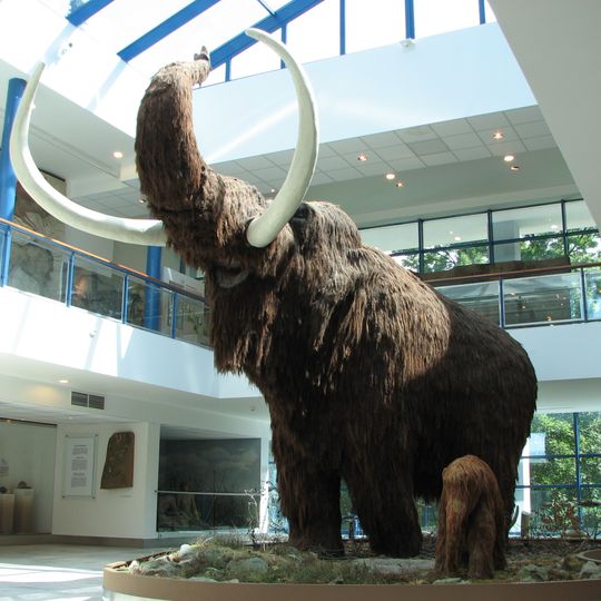 Anthropos - Pavillon