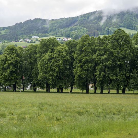 Lindenallee in Mondsee