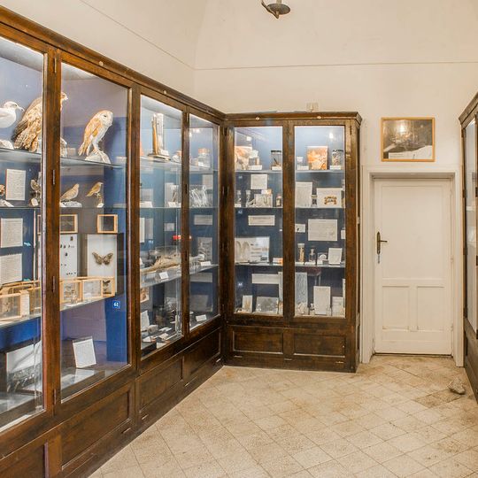 Museo del centro caprense Ignazio Cerio