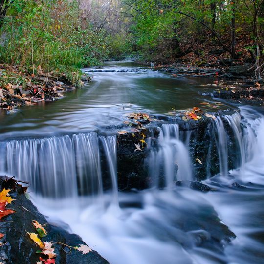 Parc-nature du Ruisseau-De Montigny