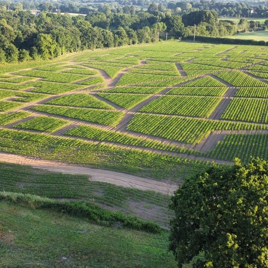 Le Labyrinthe du Petit Prince !